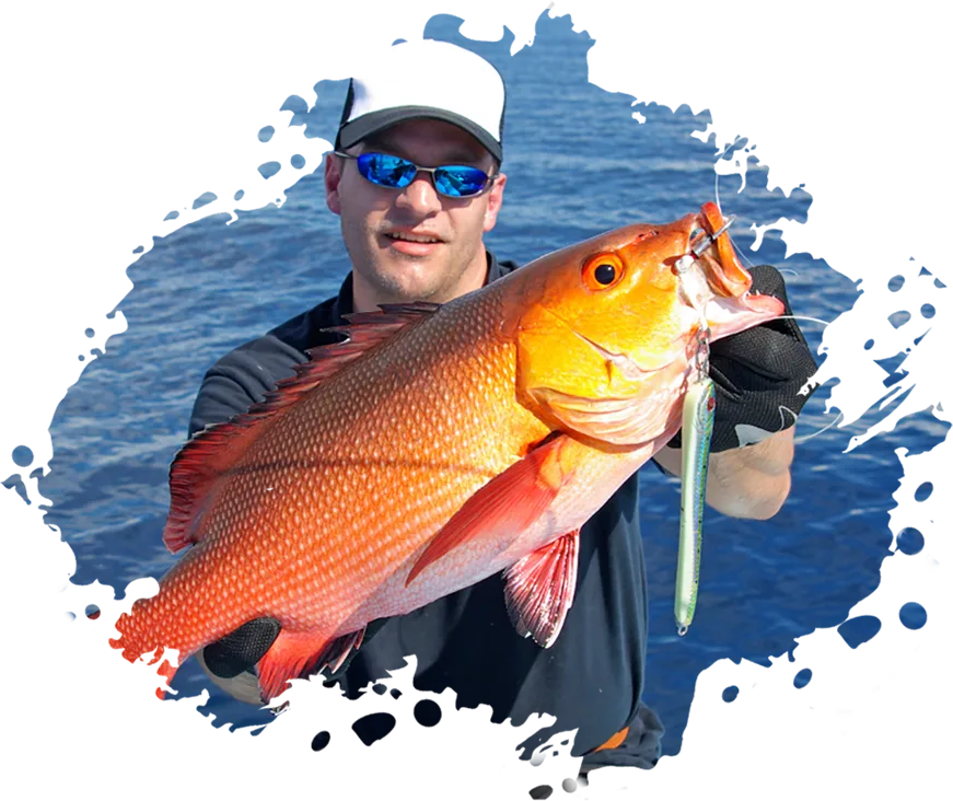Modern Design Exotic Fishinizerry - 开云